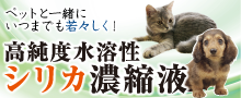 美のミネラルシリカ濃縮液