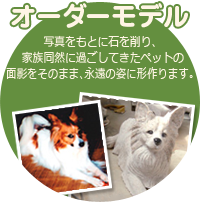 オーダーモデル