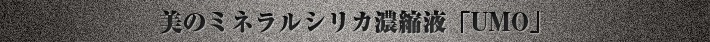 イベント